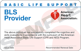 Claim your ecard via email: Basic Life Support Bls Online Course Skills Testing Aha American Heart Association Certification