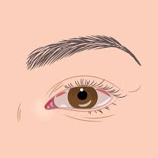 eye makeup tutorial beginners eye