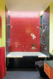 Red White And Blue Bathroom