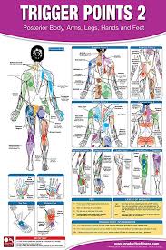 Trigger Point Therapy Chart Poster Set Acupressure Charts Myofascial Trigger Points Massage Therapy Charts Muscle Pain Relief Posters