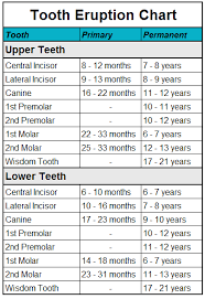 What Is Happening To My 6 Year Olds Teeth Drews Dental