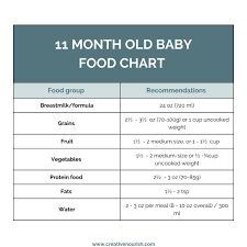 11 month old meal plan baby food ideas