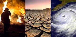 effects facts climate change vital