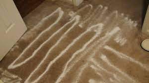 coating floor with baking soda flea