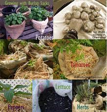 How To Use Burlap Sacks In The Garden