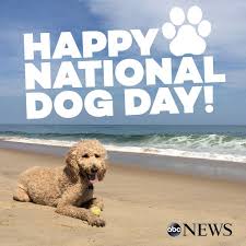 Instead, support reputable breeders or. Abc News Happy National Dog Day Facebook