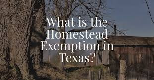 homestead exemption in texas