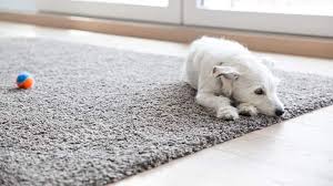 how to get smell out of carpet