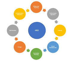 Human Resource Development (HRD) - Meaning & Importance | HRM Overview |  MBA Skool