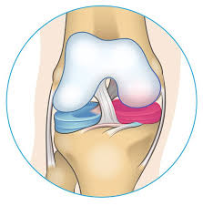 knee pain on inside of joint 5 reasons why