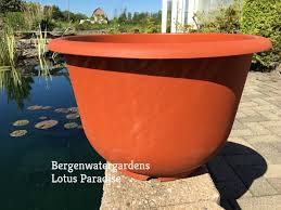 large pot bergen water gardens