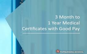 3 month 1 year cal certificate programs