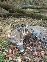 2018 Rut Predictions For Every Theory Legendary Whitetails