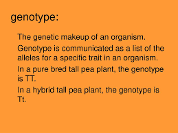 ppt biology dma 1 5 05 powerpoint