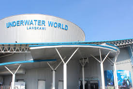 Image result for underwater world langkawi