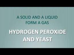 Hydrogen Peroxide Yeast