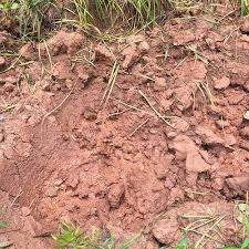 Amending Clay Soils Finegardening