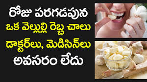 Image result for 7 Surprising Health Benefits Of Garlic