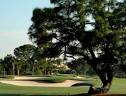 Bent Pine Golf Club in Vero Beach, Florida | foretee.com