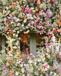 Beautiful Flowers Wallpapers