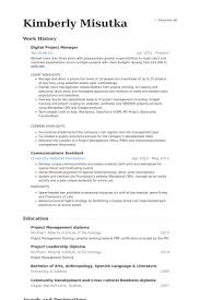 22 Great Project Manager Resume Examples 2017