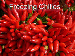to freeze hot maeta chili peppers