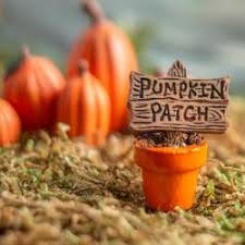 We did not find results for: Miniature Halloween Pumpkin Patch Sign Fairy Garden Supplies Craft Supplies Factory Direct Craft