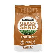 pennington 5 lb centipede gr seed at