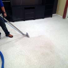 carpet cleaning services in seattle