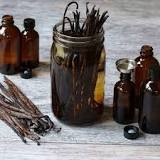 Which vanilla beans make the best extract?