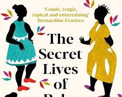 Image of Secret Lives of Baba Segi's Wives novel by Lola Shoneyin