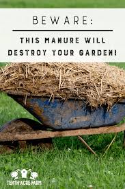 This Manure Will Destroy Your Garden