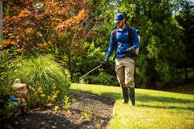 Conduct liquid services applications for lawns including fertilization, weed…. Lawn Care Landscaping Jobs Perfect For Your Start In The Industry