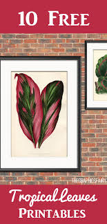 This is for personal use only! 10 Free Tropical Leaves Printables Instant Art Botanicals The Graphics Fairy