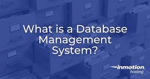 database management systems organizing