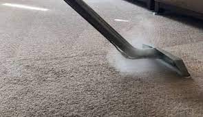 steam carpet cleaning system in newnan