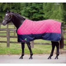 pink and blue polar fleece cloth horse rugs