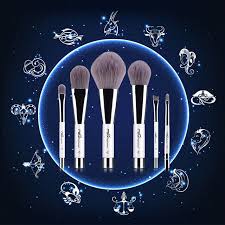 msq 6pcs makeup brushes set with