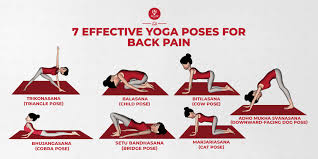yoga poses for back pain 7 effective