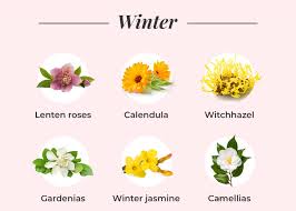 a seasonal flower guide