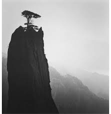 Image result for michael kenna