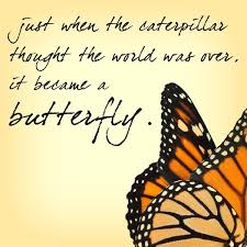Butterfly Quotes on Pinterest | Hummingbird Quotes, Quotes About ... via Relatably.com