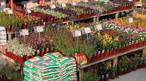 In response to the crowding at home depot and lowe's, several cities and even the state of vermont have ordered garden centers to close. Home Depot Garden Center Reviews In Misc Chickadvisor