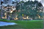 Tampa Bay Golf - Dunedin Golf Club - 727 733 2134