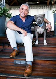The behavior you get back is usually, in some way, a reflection of your own.. Dog Whisperer Cesar Millan Shares His Canine Wisdom Hashtag Legend