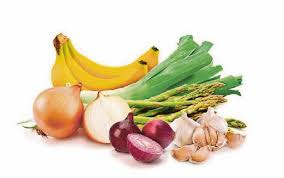 Image result for foods that are high in prebiotics