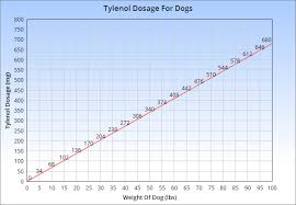 Tylenol For Dogs Veterinary Place