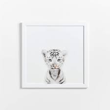 Baby Snow Leopard Framed Wall Art Print
