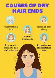 dry hair ends causes and how to treat