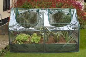 cold frame greenhouse cloche